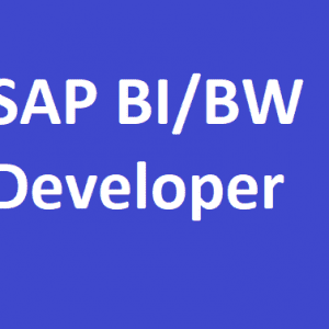 SAP BI Full Course - Zero to Hero Sessions