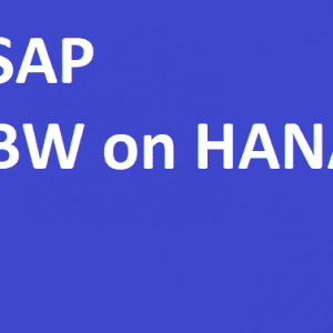 SAP BW on HANA Master Course - End to End Training