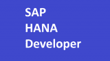 SAP HANA Developer Full Training