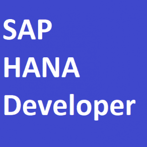 SAP HANA Developer Full Training