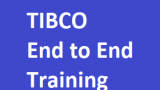 TIBCO End to end Training