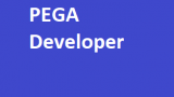 PEGA Developer End to End Training