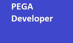 PEGA Developer End to End Training
