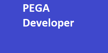 PEGA Developer End to End Training